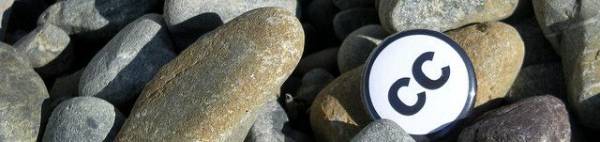  CC BY-SA Brett Taylor : https://www.flickr.com/photos/glutnix/2080497190/